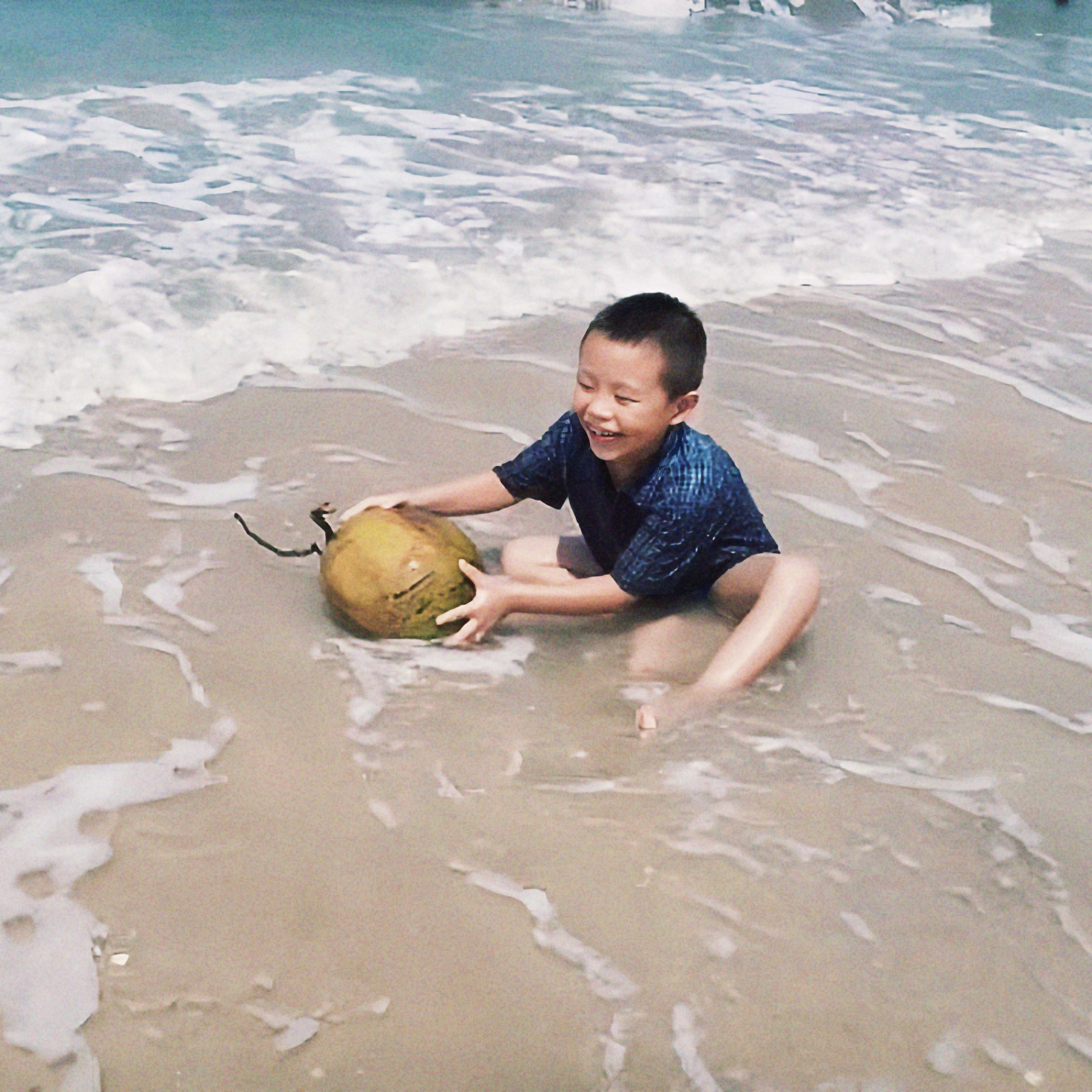 梦之路封面