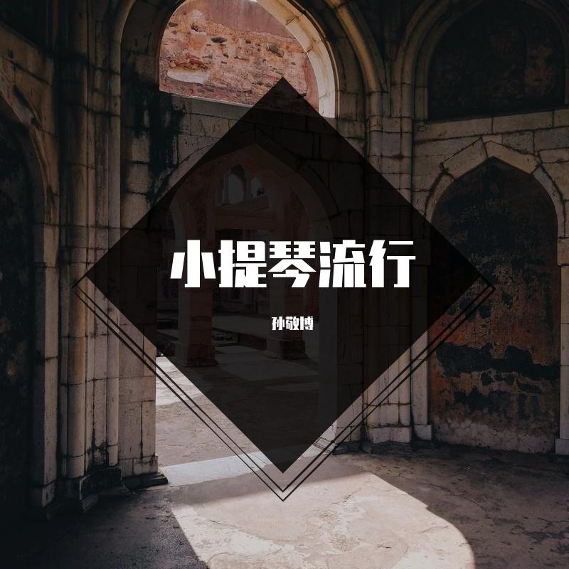 玫瑰少年-小提琴版 - 孙敬博封面