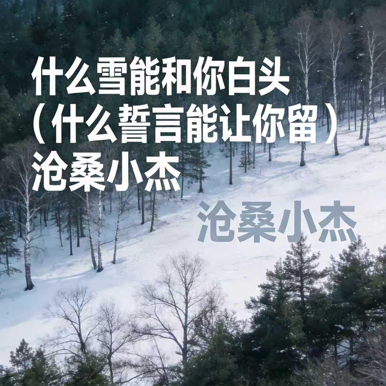 什么雪能和你白头 (什么誓言能让你留)