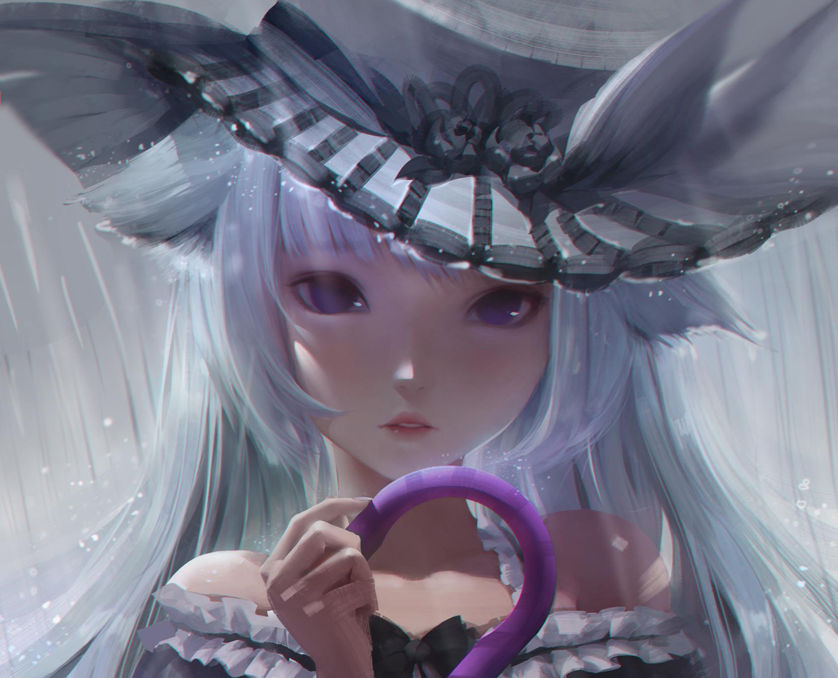 雨狸