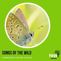 Songs of the Wild - Harmonious Nature Sounds