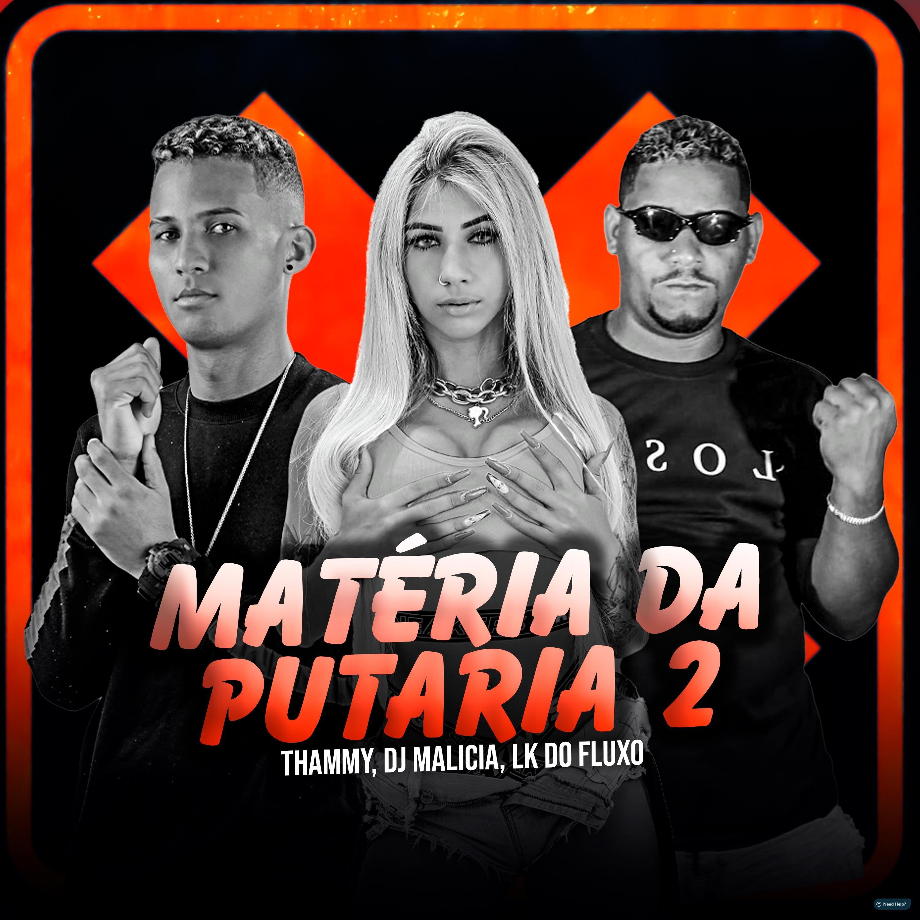 Matéria da Putaria 2 (feat. Thammy & LK do Fluxo)