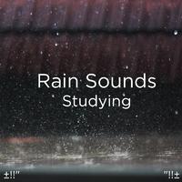 Rain Sounds - Regen Klinkt Om Te Slapen
