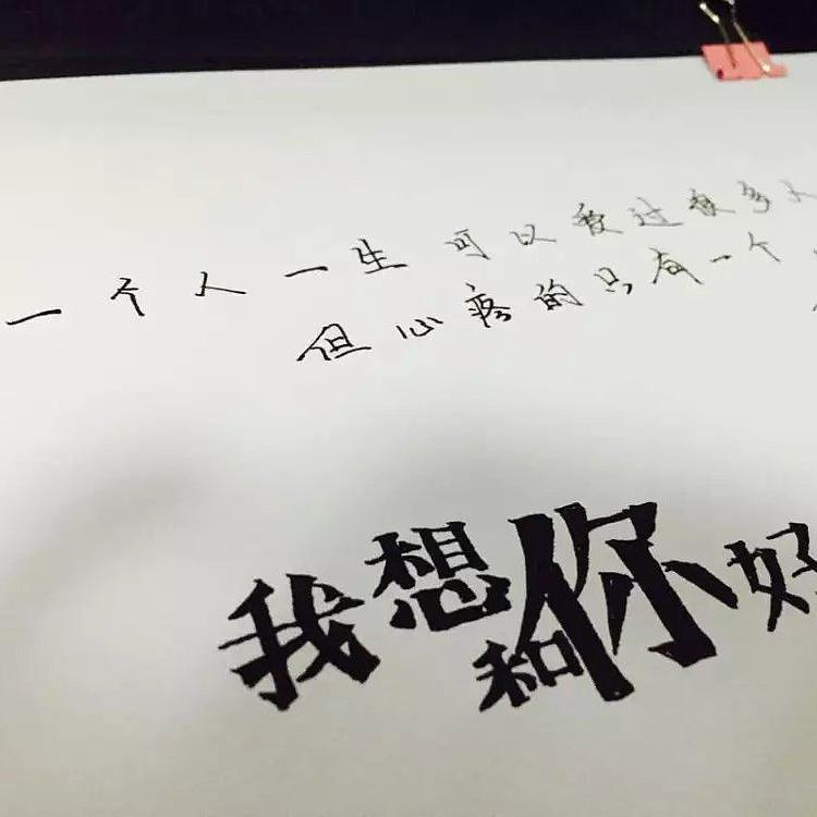 椿封面