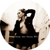 Deep Aka House #01