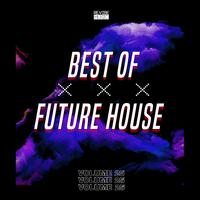 Best of Future House, Vol. 25