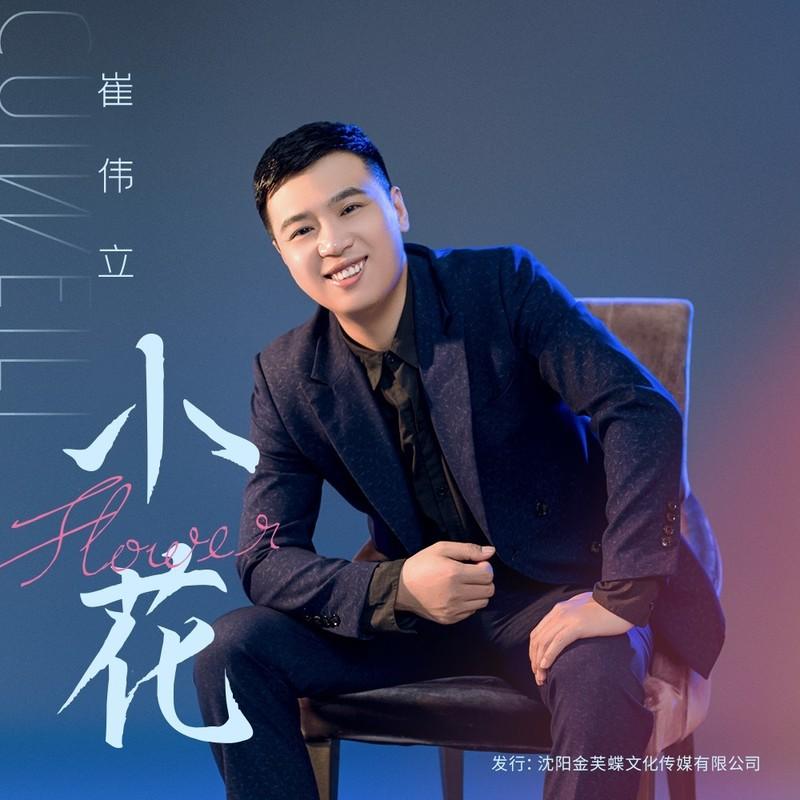小花 (DJ何鹏版伴奏)封面