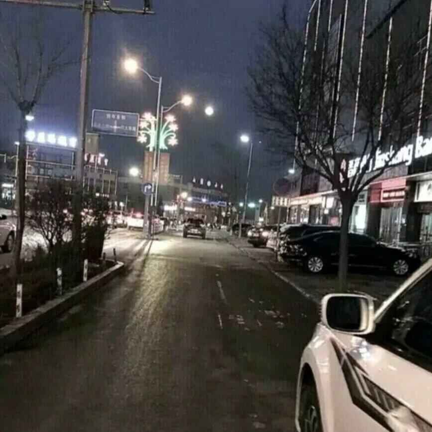 风吹丹顶鹤封面