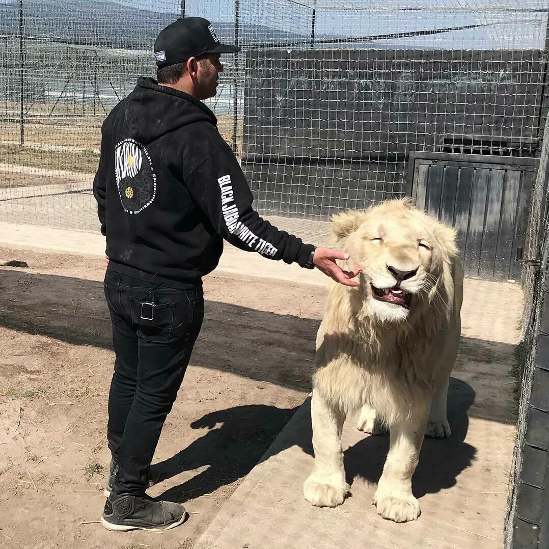 Lana Del Rey-Summertime Sadness（ISYUL / 筱天才 / 陈小新阿 / 7Rylax remix）