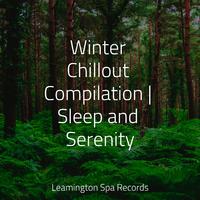 Winter Chillout Compilation | Sleep and Serenity