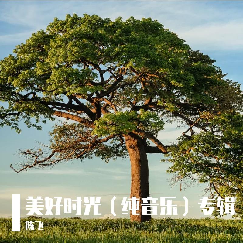 美好时光（纯音乐）封面