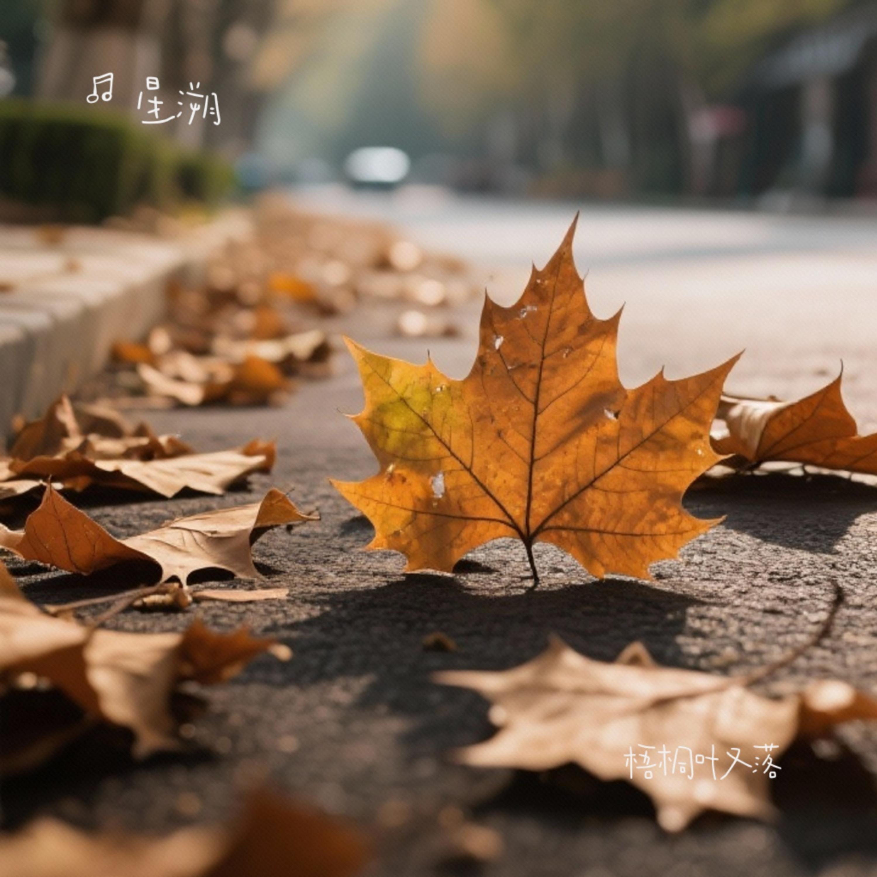 梧桐叶又落 (DJ版)封面