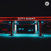 City Night