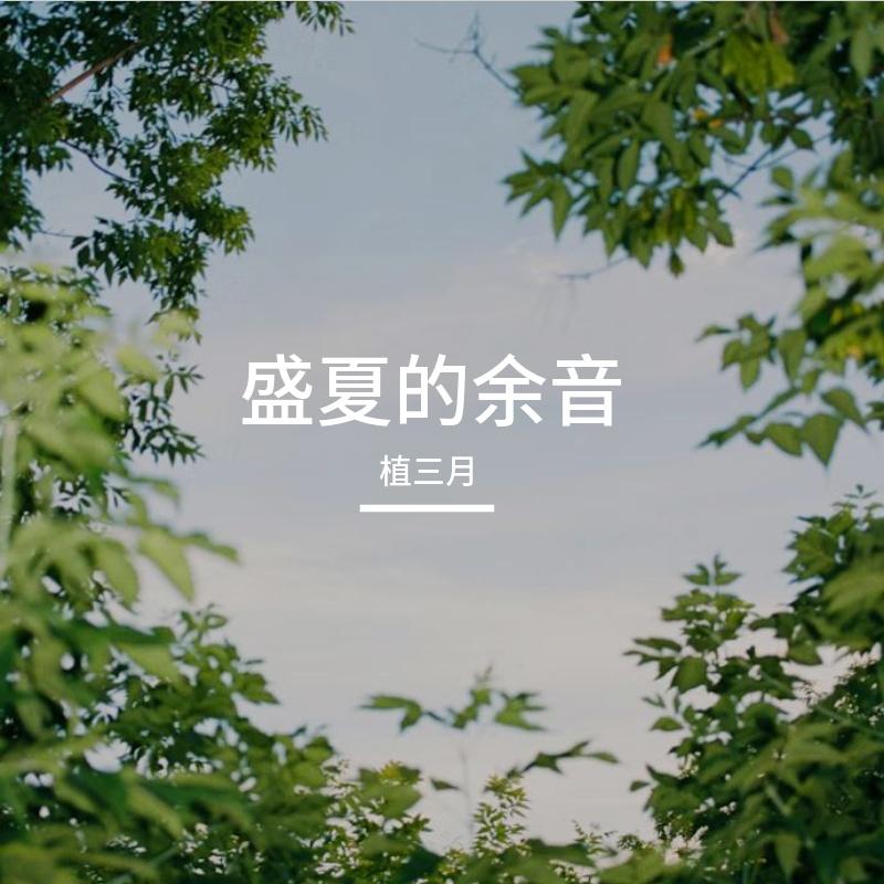 想你时风起LIVE（Cover: 单以纯）封面