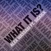 Alex Wassabi - What It Is (feat. Sickick)