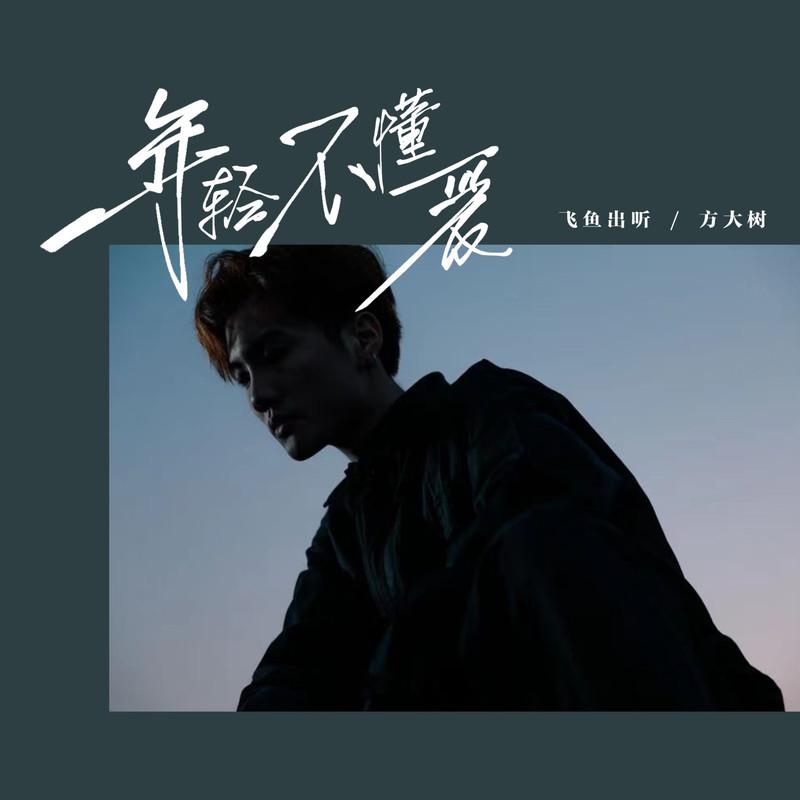 年轻不懂爱封面