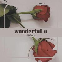 wonderful u