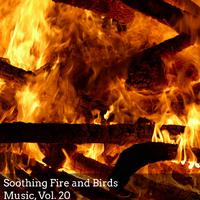 Soothing Fire and Birds Music, Vol. 20