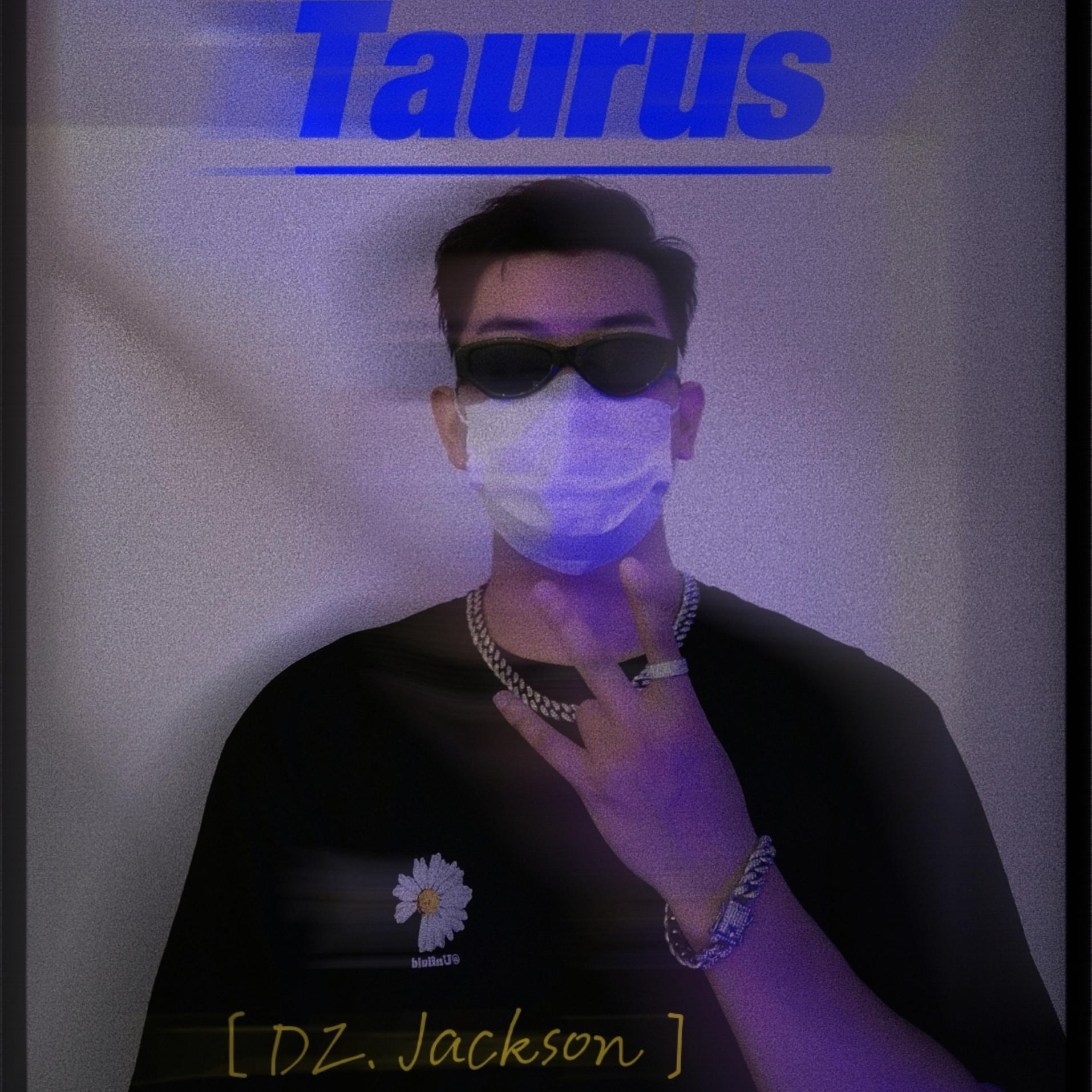Taurus 伴奏