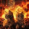 Music for Relaxing Cats - Relaxing Flames for Cats