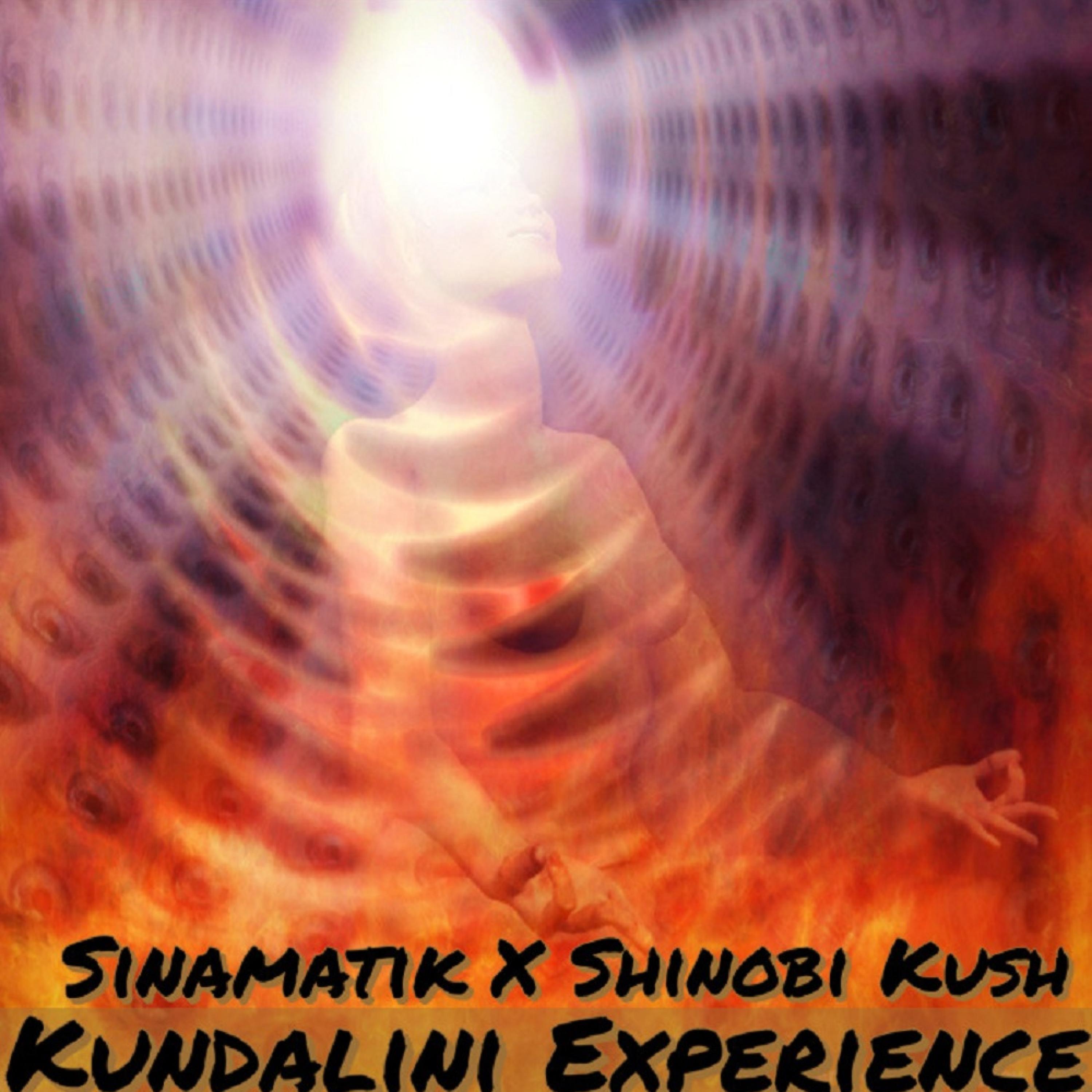 Kundalini Experience (feat. Shinobi Kush)