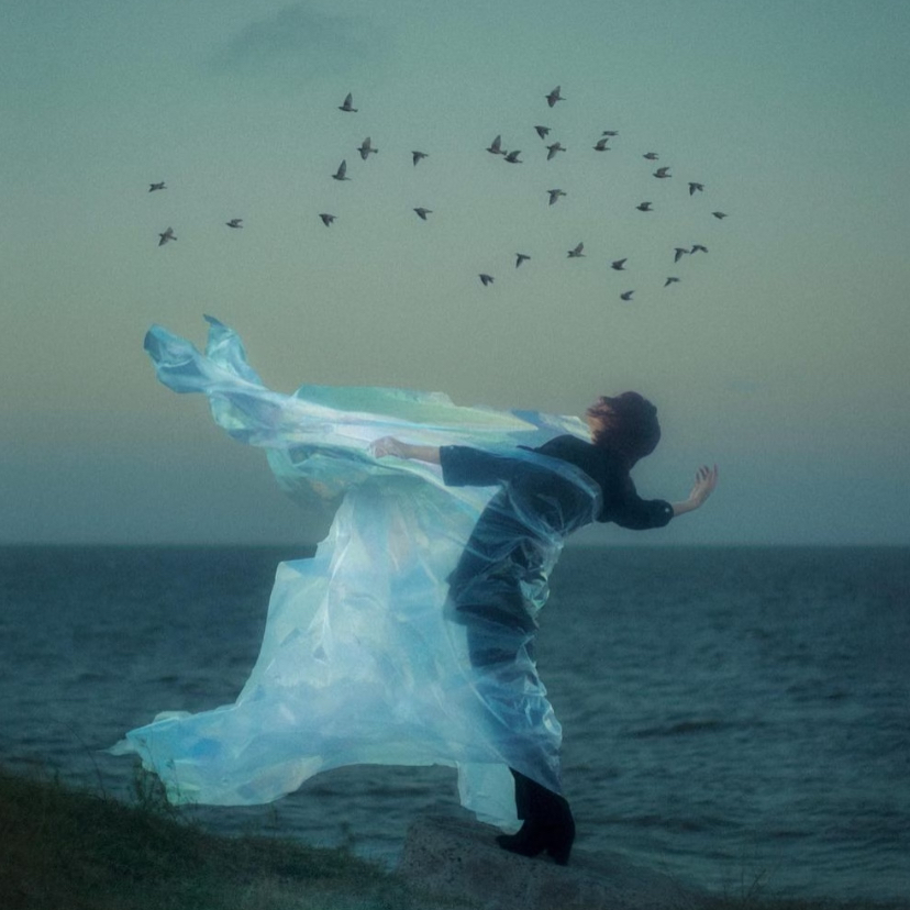 Улетали Птицами（骄傲的鸟儿飞走）