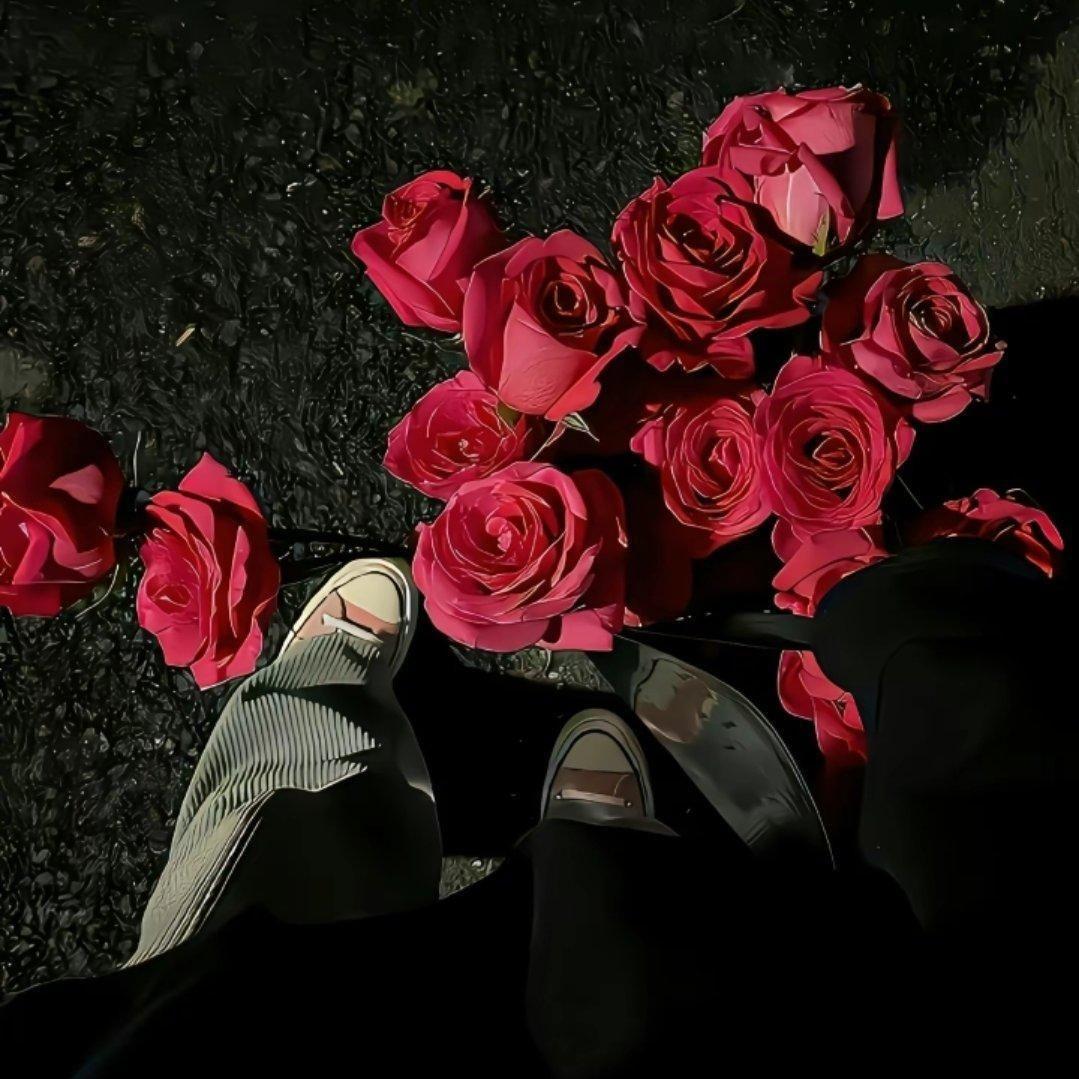 Pati Qatma (Cc culub)