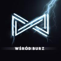 Wśród burz