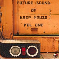 Future Sound of Deep House, Vol. 1 (Volume One)