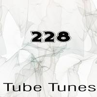 Tube Tunes, Vol.228