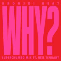 Why? (feat. Neil Tennant) [Superchumbo Mix]