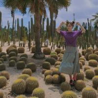 夏绵资料,夏绵最新歌曲,夏绵MV视频,夏绵音乐专辑,夏绵好听的歌