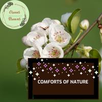 Comforts of Nature