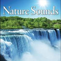 Nature Sounds