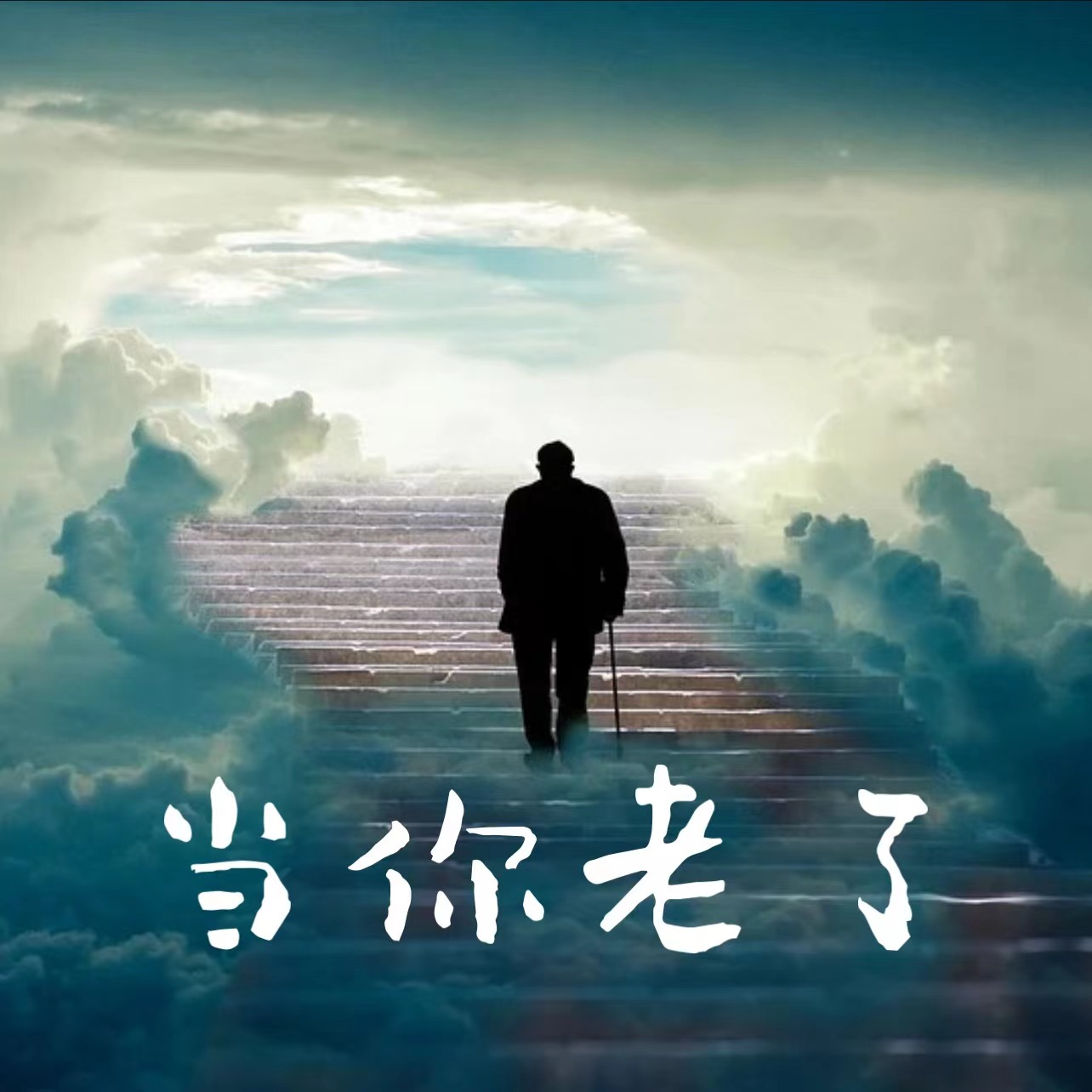当你老了 - 赵赵封面