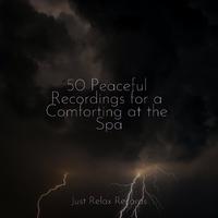 50 Peaceful Recordings for a Comforting at the Spa