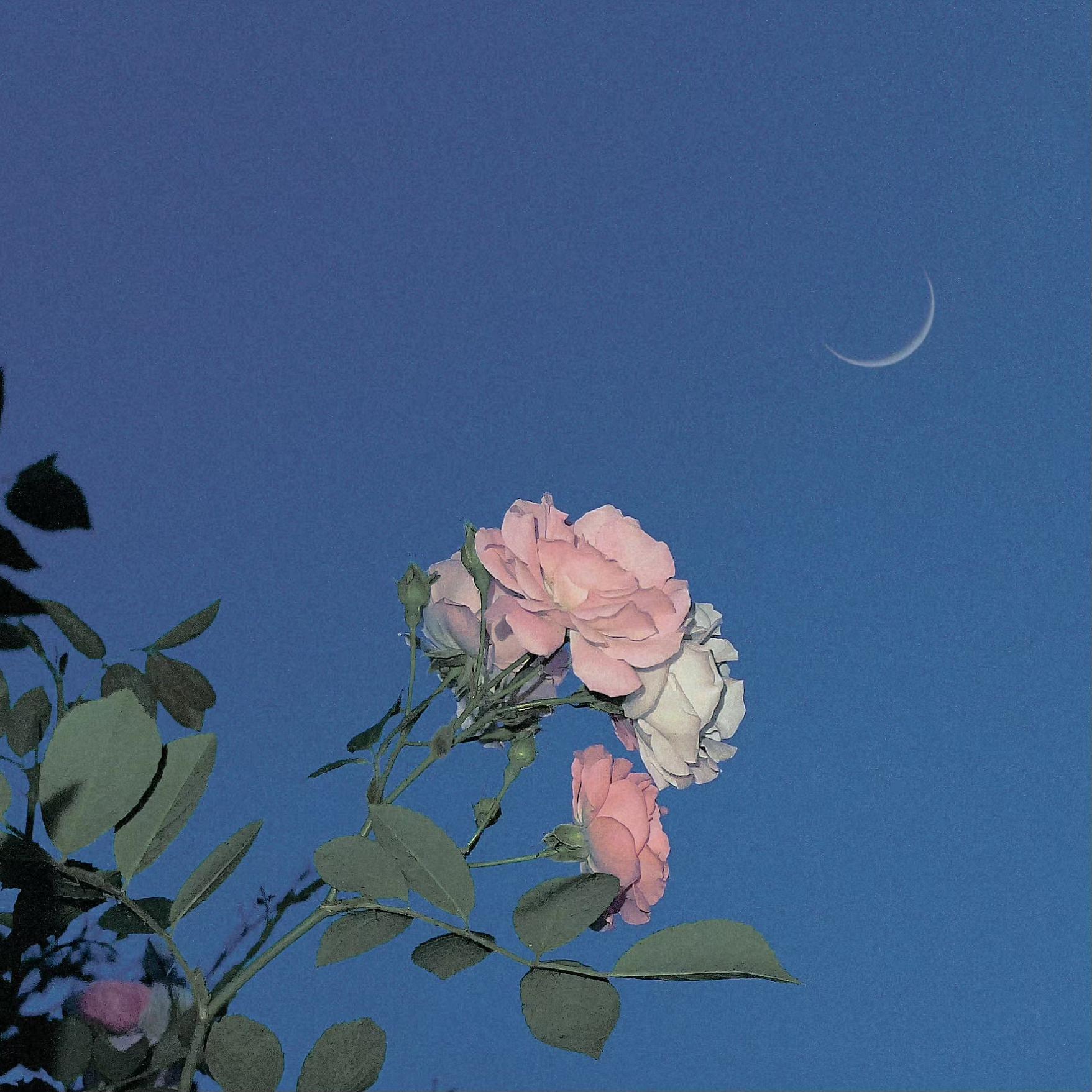 遗憾_DouDou_遗憾 | 在线播放_遗憾歌词_遗憾下载 | 网易云音乐