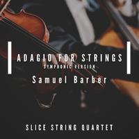 Slice String Quartet