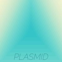 Plasmid