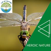 Heroic Nature