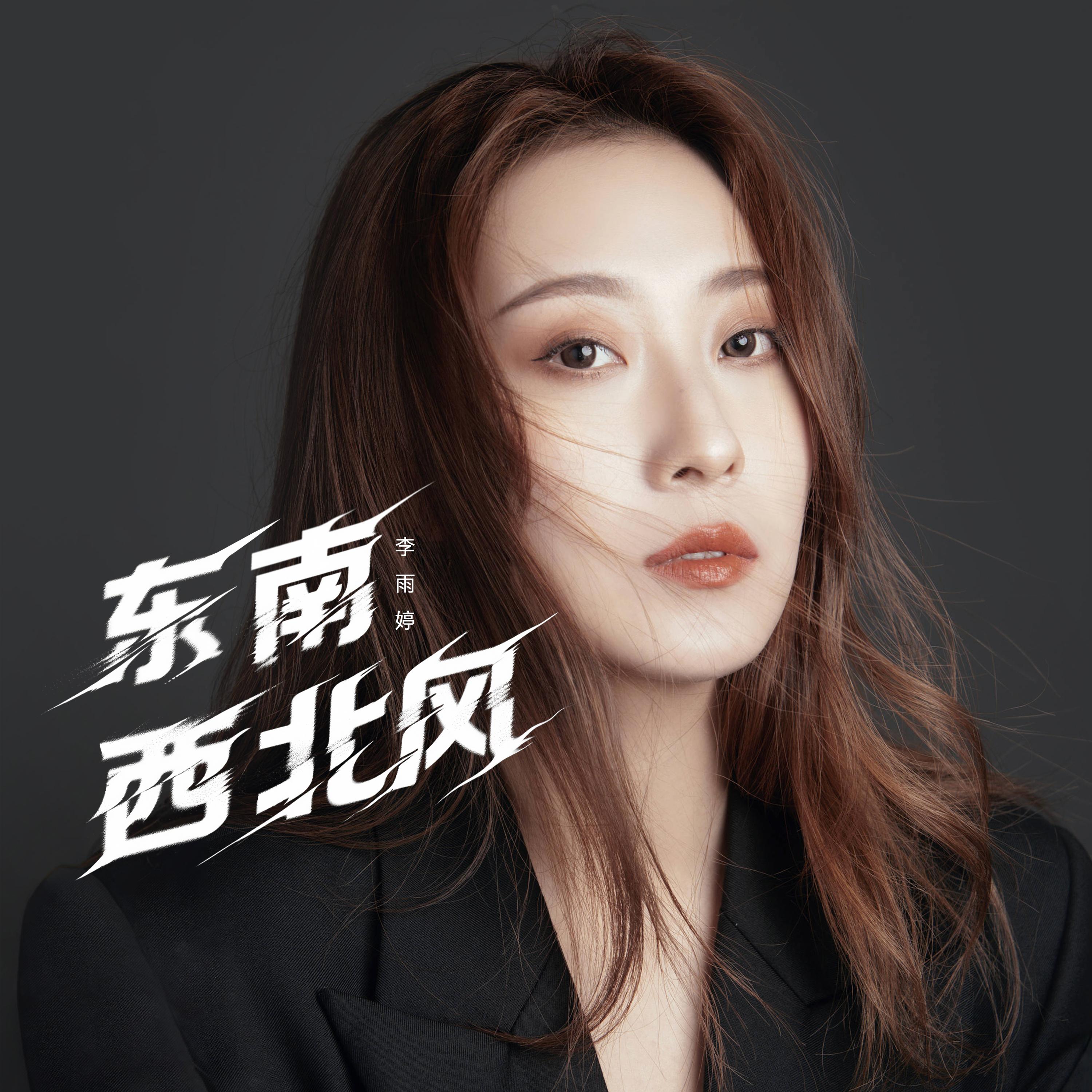 东南西北风 - 李雨婷封面