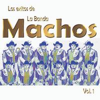Los Exitos De La Banda Machos, Vol. 1