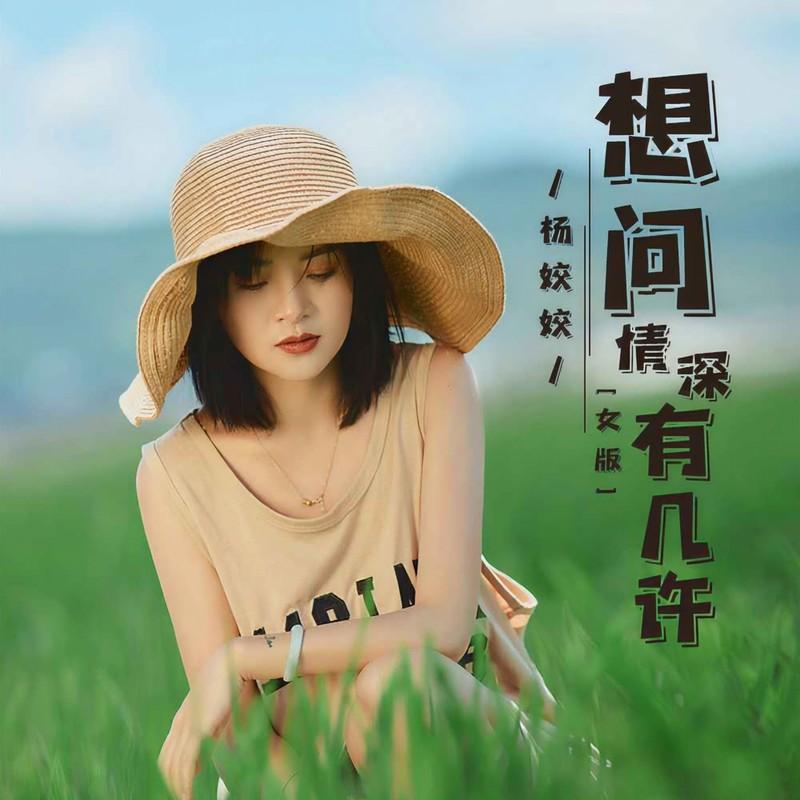 想问情深有几许 (女版DJ默涵版伴奏)封面