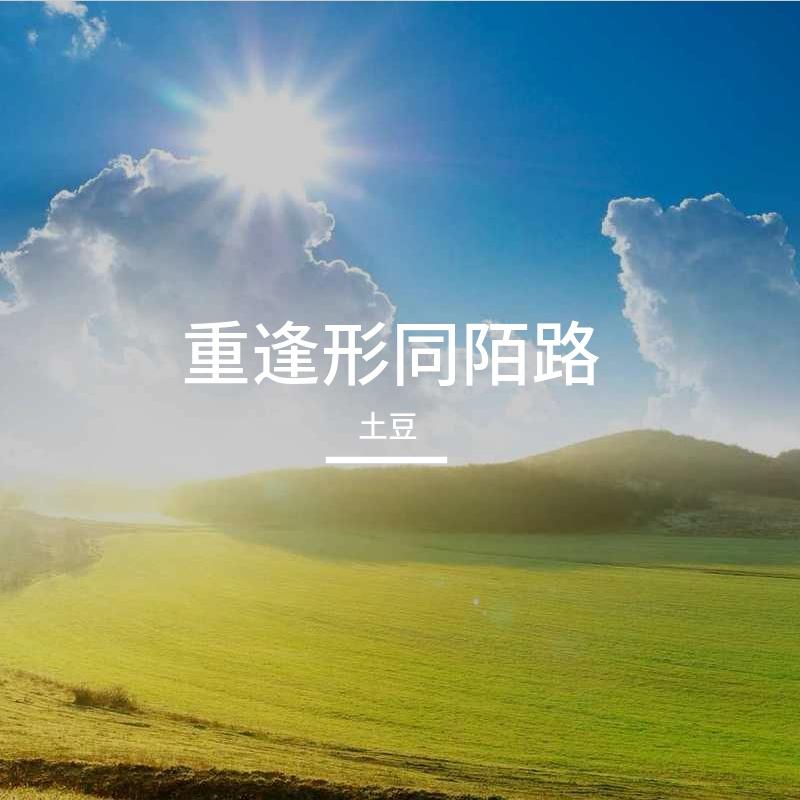 星途自闯封面