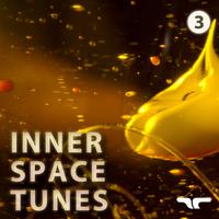 Inner Space Tunes 3