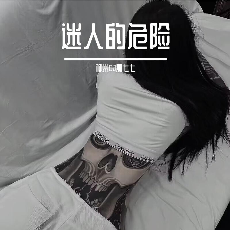 柳州DJ晨七七-迷人的危险DJ版封面