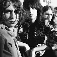 Starcrawler