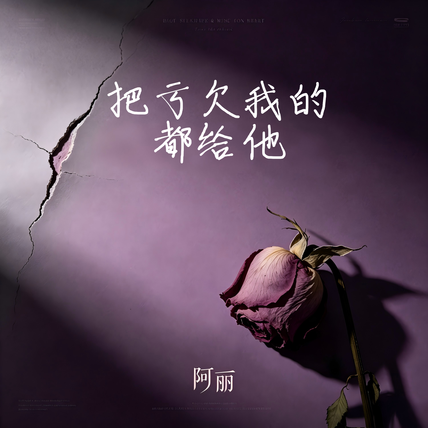 把亏欠我的都给他封面