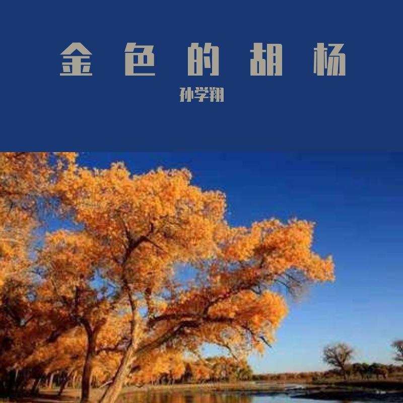 金色的胡杨封面