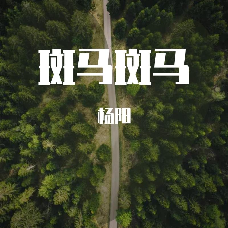 斑马斑马封面